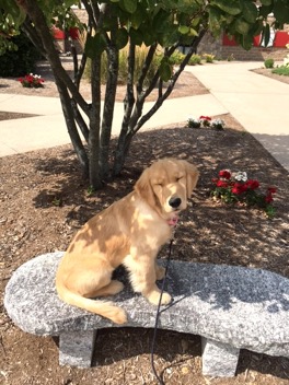 I need some cool shades! (1).JPG