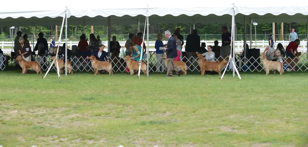 SPecialty Show (1).webp